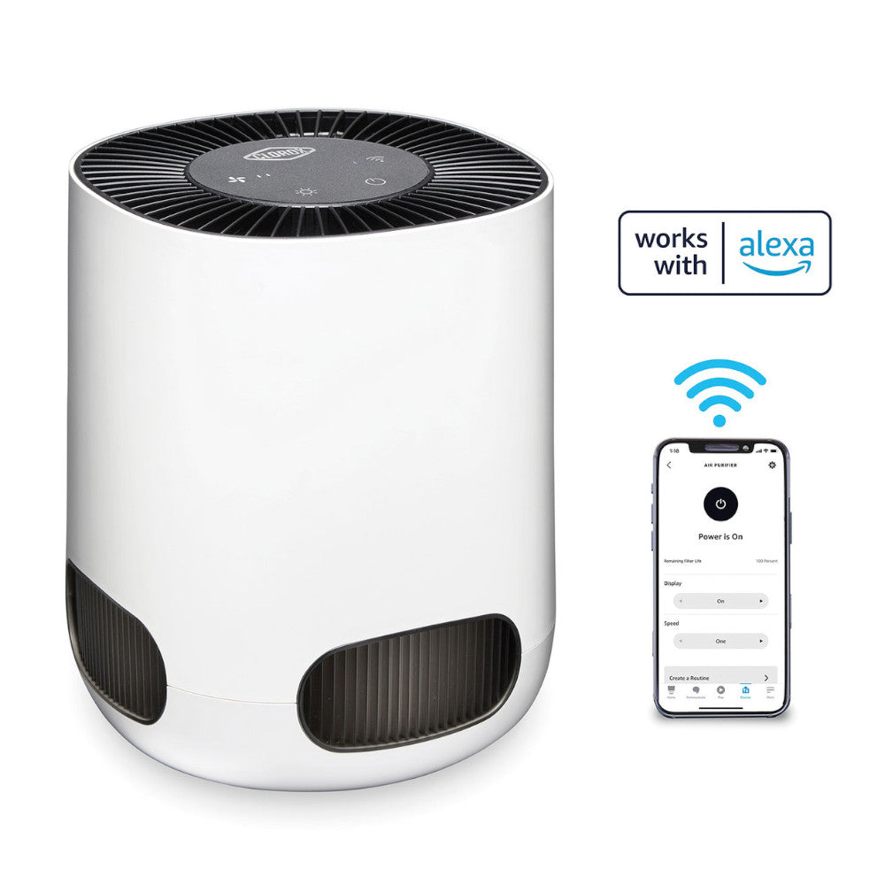 Purificateur d'air Clorox de table intelligent (11021)