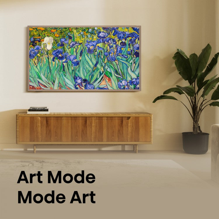 Hisense 55" CANVAS TV 4K QLED Smart Google TV (55S7N)